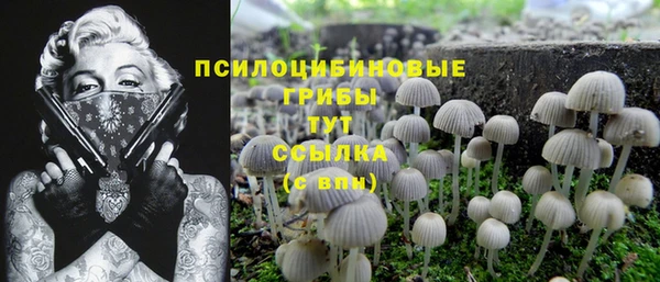 ешки Бронницы