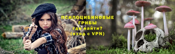 кокс Бородино