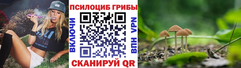 Галлюциногенные грибы ЛСД  Купить где  Качканар 